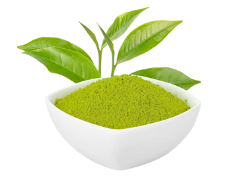 Green-tea-extract